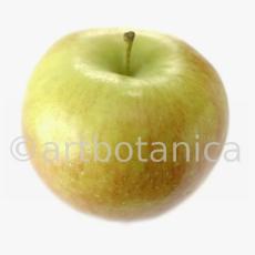 Kochen-Frucht-Apfel-3