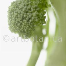Kochen-Gemüse-Brokkoli-6