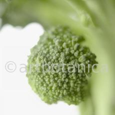 Kochen-Gemüse-Brokkoli-3