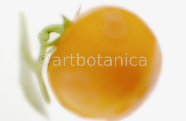 Kochen-Gemüse-Tomate-3