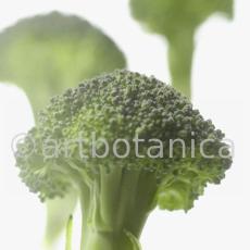 Kochen-Gemüse-Brokkoli-7