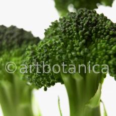 Kochen-Gemüse-Brokkoli-9