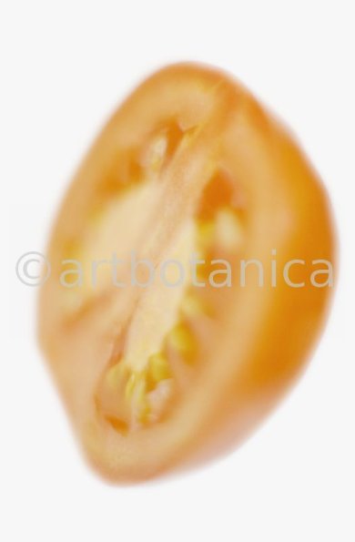 Kochen-Gemüse-Tomate-2