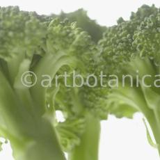 Kochen-Gemüse-Brokkoli-5