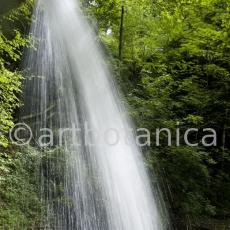 Natur-Wasserfall-7