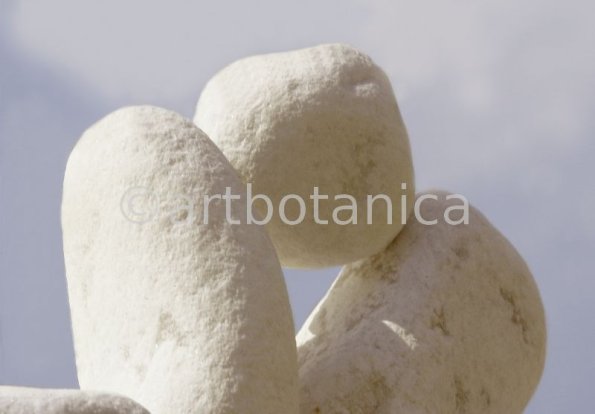 Rock formation tongs