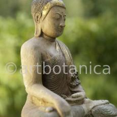 Buddha-8