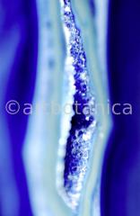 Edelsteine-Achat-blau-1