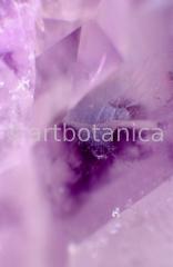 Edelsteine-Amethyst-7