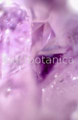 Edelsteine-Amethyst-4