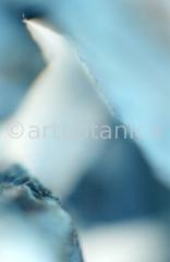 Edelsteine-Chrysokoll-5