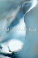 Edelsteine-Chrysokoll-6