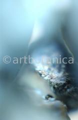 Edelsteine-Chrysokoll-4