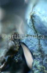 Edelsteine-Chrysokoll-13