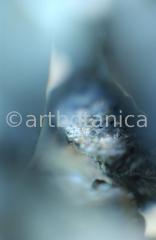 Edelsteine-Chrysokoll-8