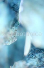 Edelsteine-Chrysokoll-10