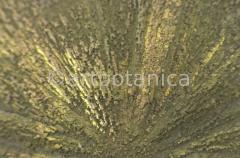 Edelsteine-Pyritsonne-1