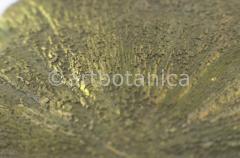 Edelsteine-Pyritsonne-4