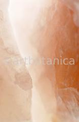 Edelsteine-Rosenquarz-3