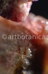 Edelsteine-Rubellit-5