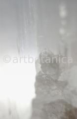 Edelsteine-Selenit-6