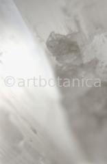 Edelsteine-Selenit-8