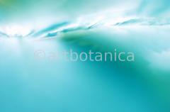 Farbenmeere-in-Blau-9