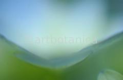 Imaginations in blue