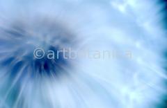 Farbenmeere-in-Blau-8