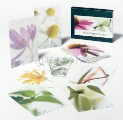 Heilpflanzenkarten Set