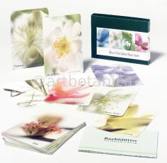 Bachblütenkarten Set