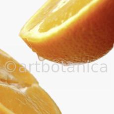 Kochen-Frucht-Orange-14