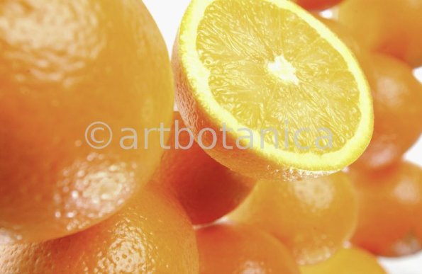 Kochen-Frucht-Orange-18