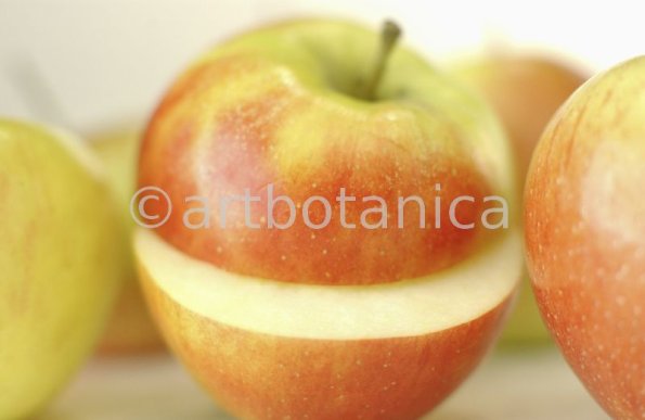 Kochen-Frucht-Apfel-4