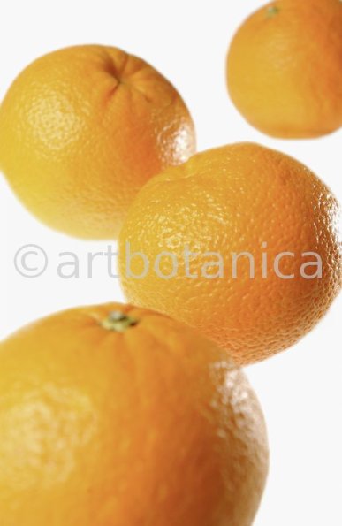 Kochen-Frucht-Orange-9