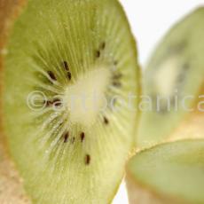 Kochen-Frucht-Kiwi-4