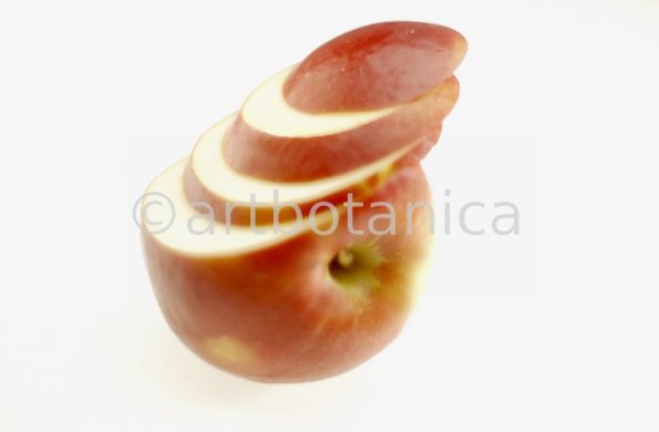 Kochen-Frucht-Apfel-5