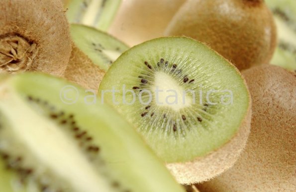 Kochen-Frucht-Kiwi-3