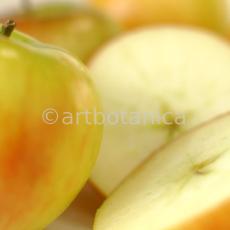 Kochen-Frucht-Apfel-1