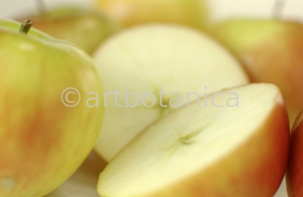 Kochen-Frucht-Apfel-2
