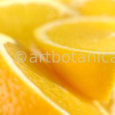 Kochen-Frucht-Orange-2
