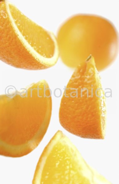 Kochen-Frucht-Orange-11