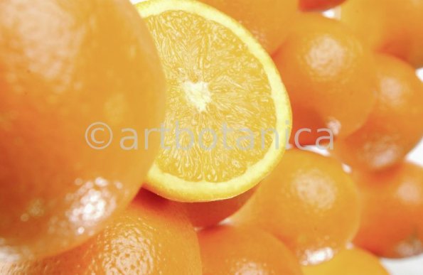 Kochen-Frucht-Orange-20