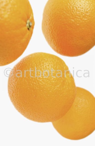 Kochen-Frucht-Orange-7