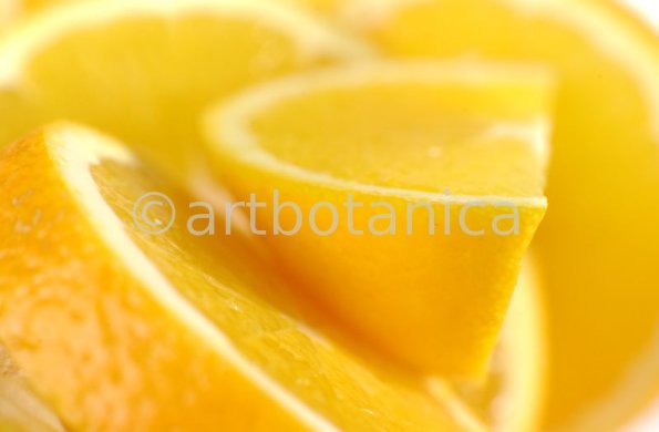 Kochen-Frucht-Orange-2