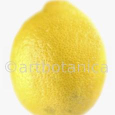 Kochen-Frucht-Zitrone-6