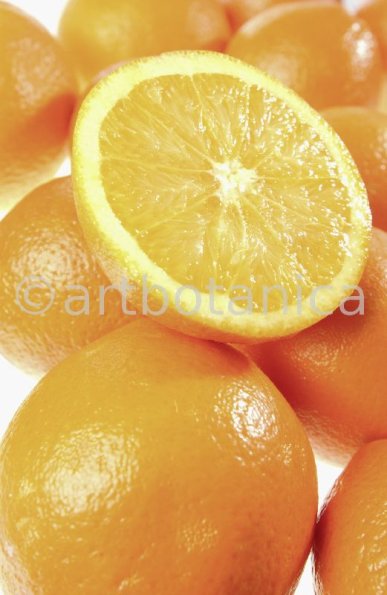 Kochen-Frucht-Orange-16