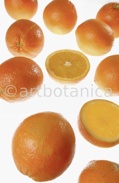 Kochen-Frucht-Orange-15
