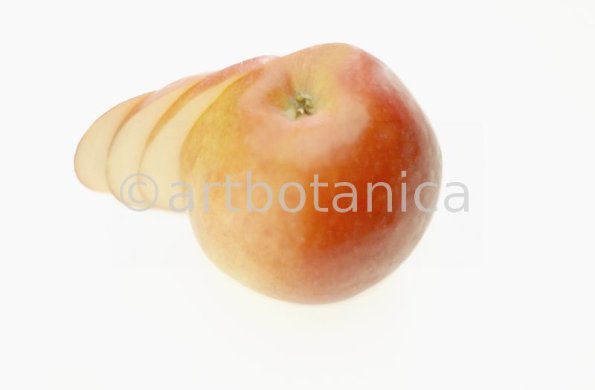 Kochen-Frucht-Apfel-7