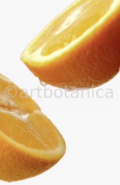 Kochen-Frucht-Orange-14